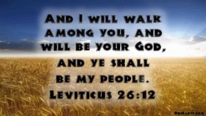 leviticus 26.12